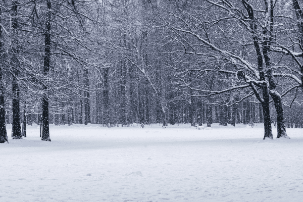 Strategic Reassessment: Roche Discontinues Emugrobart in Spinal Muscular Atrophy and FSHD