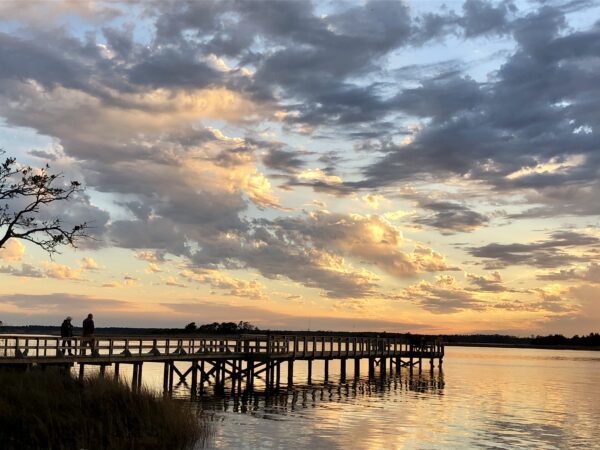 5 Lessons Nature Taught Me About Living with Pain and Dystonia