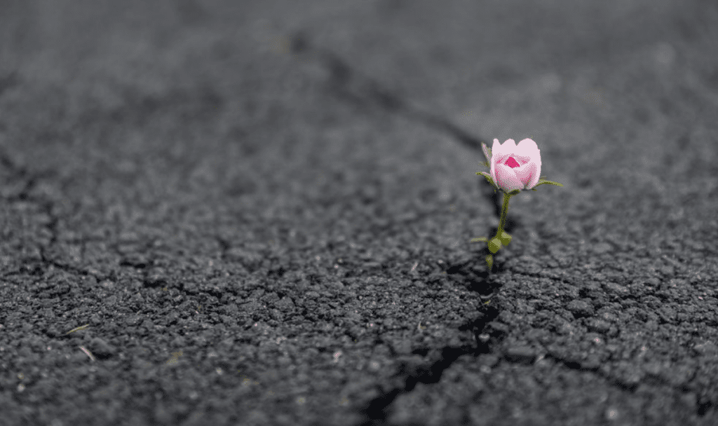 What Happens When a Patient Is Living with Multiple Rare Diseases?