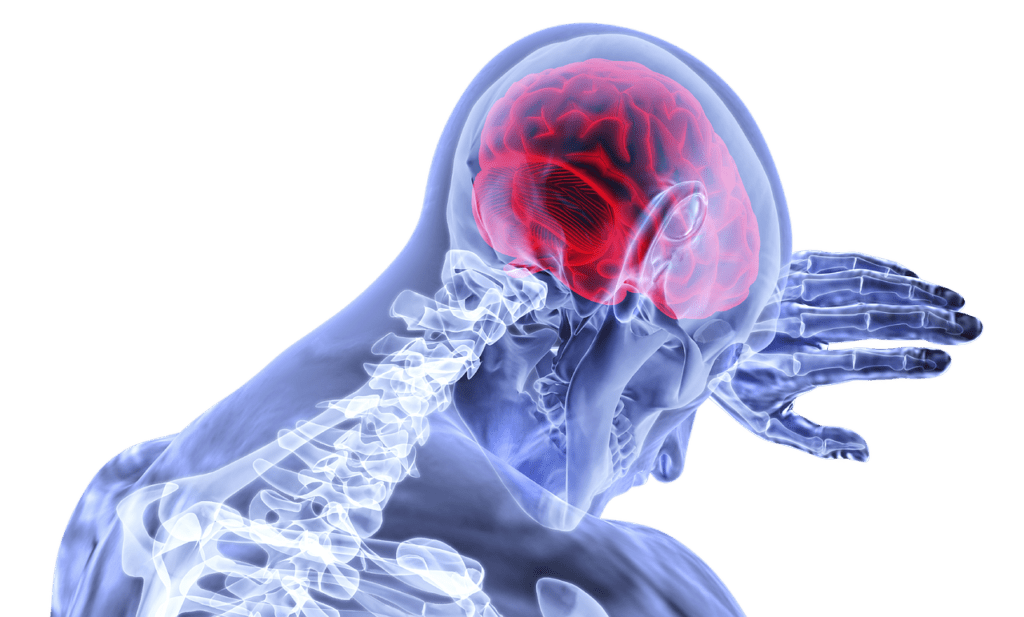 Advances in Stroke Recovery