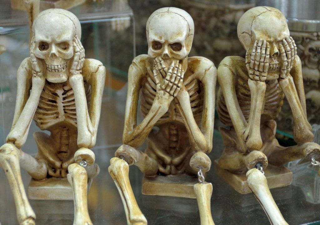 Mütter Museum in Philadelphia Displays Two Skeletons Who Suffered from Fibrodysplasia Ossificans Progressiva