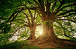 Investigational Therapy Shows Promise for Guillain-Barré Syndrome in Late-Stage Testing