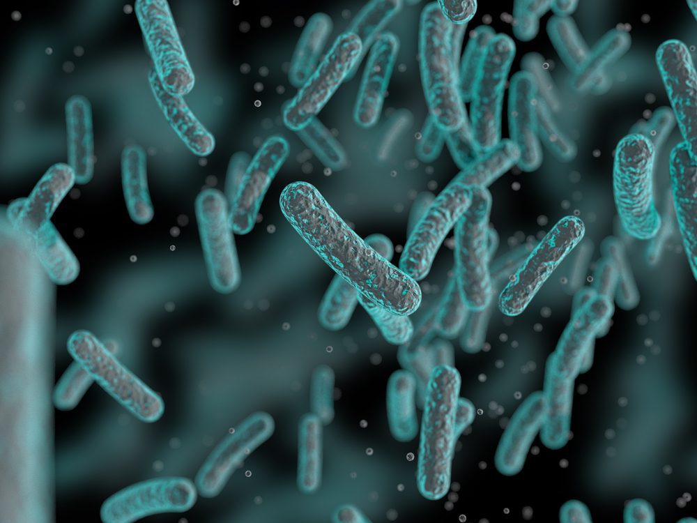 Treating Inflammation vs. Bacteria