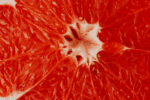 Roivant and Priovant Secure FDA Approval for First Targeted Oral Therapy for Dermatomyositis