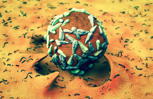 BioNTech Ends Phase 2 Trial of Personalized mRNA Therapy in High-Risk Colorectal Cancer