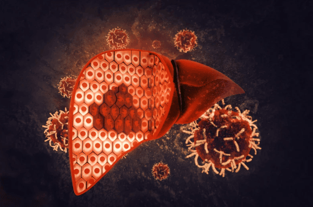 Liver Cancer and the Hispanic and Black Communities in the United States