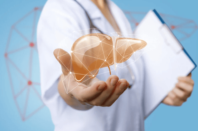 Spatial Mapping Study Uncovers Distinct Molecular Changes Across Liver Regions in MASH